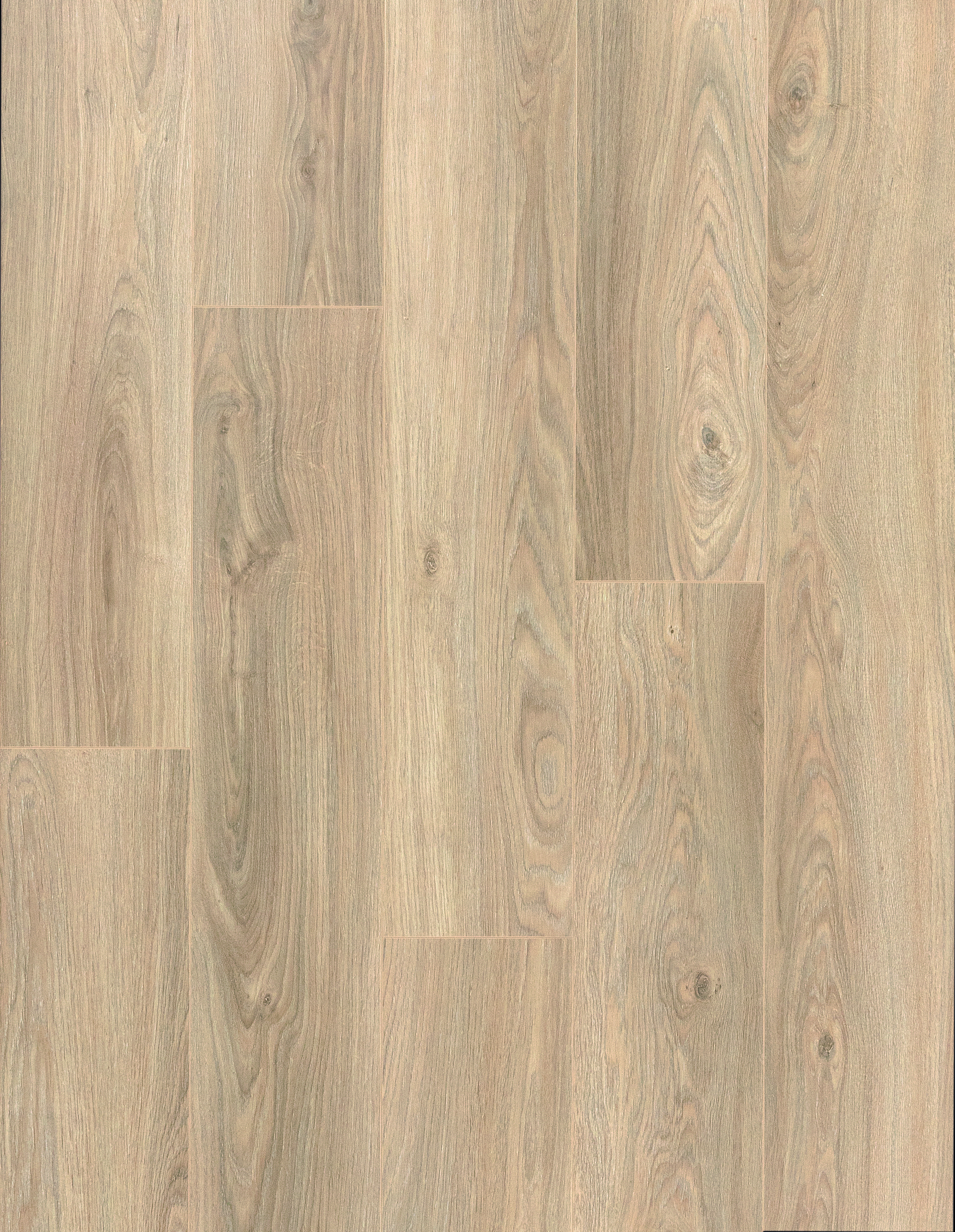 CDNZ Legato Light Natural Stratifié