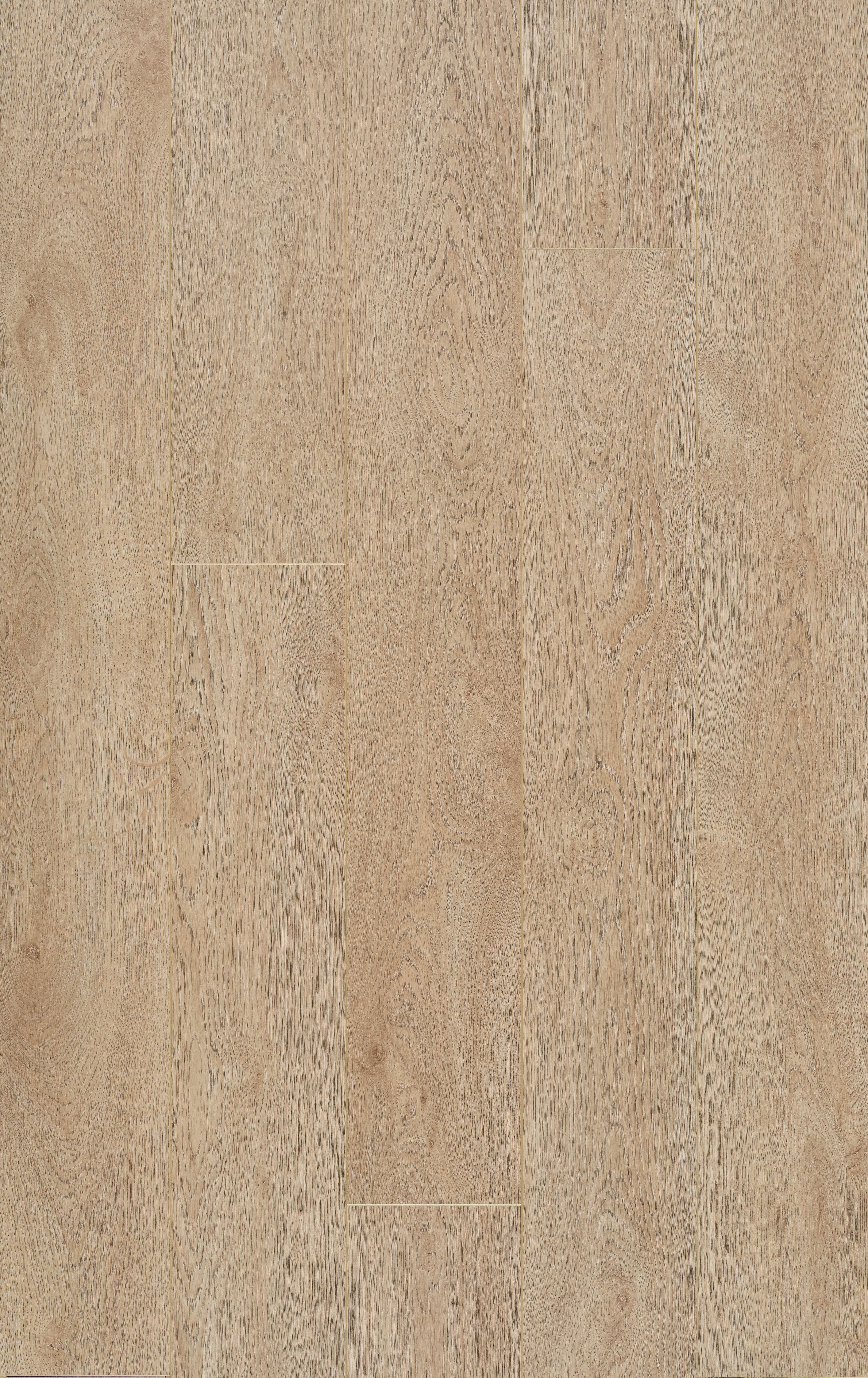 Ocean 8 XL Jazz Xl Sand Nat 6 lames Stratifié 2038x241x8mm - 2,947M2/PAQ