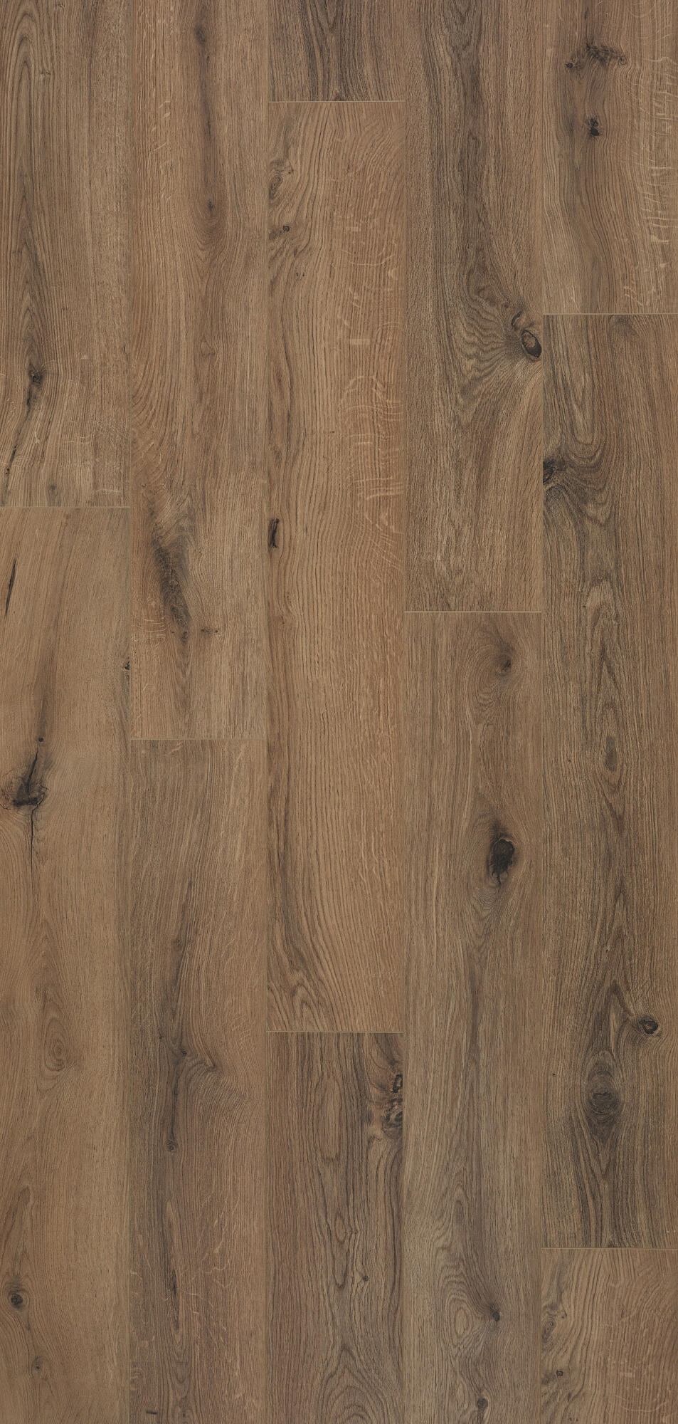 Ocean 8 V4 Gyant Warm Brown 9 lames Stratifié 1288x190x8mm - 2,202M2/PAQ