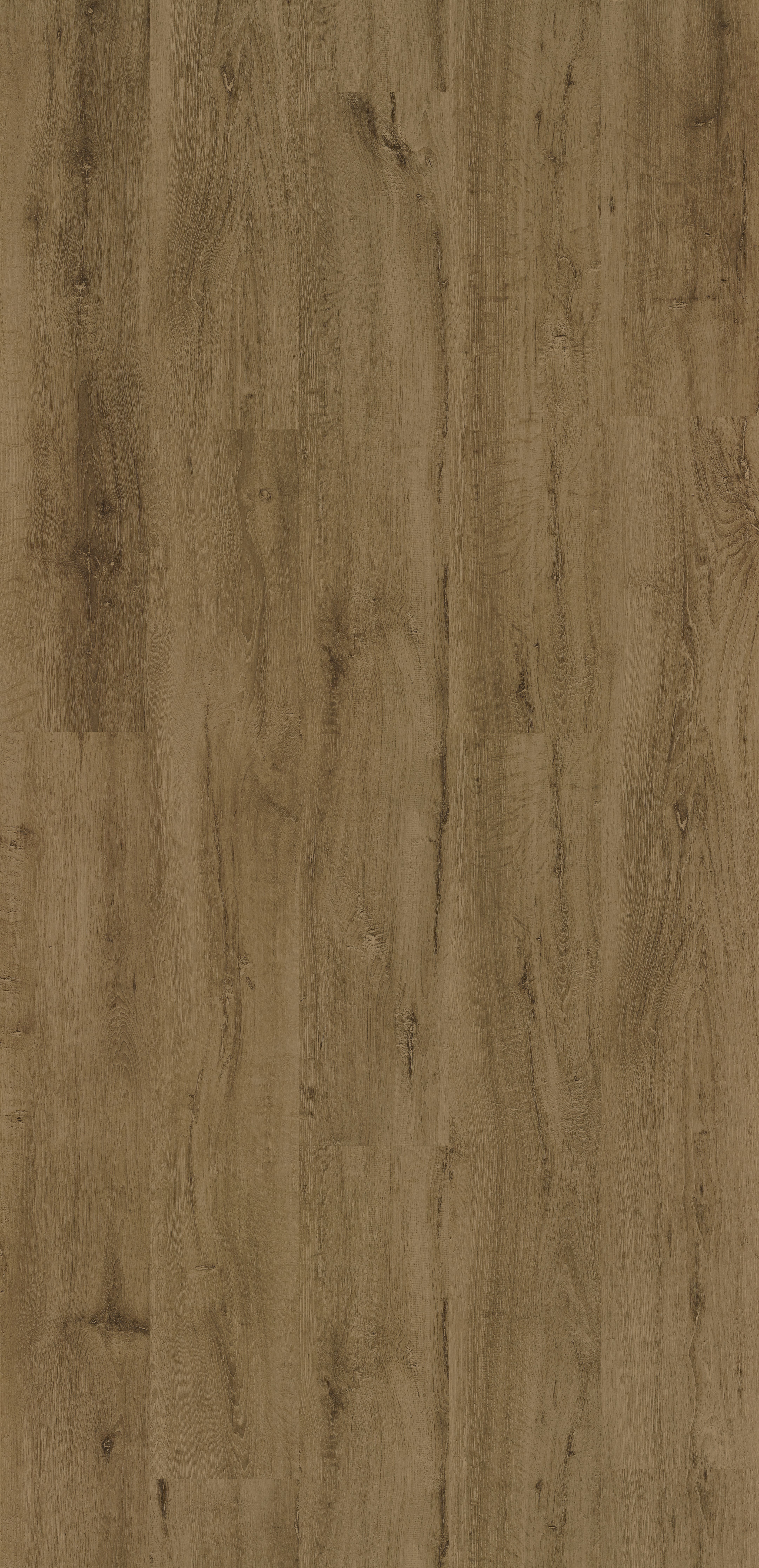 Trendline 8 Capri Oak 9 lames Stratifié 1288x190x8mm - 2,202M2/PAQ
