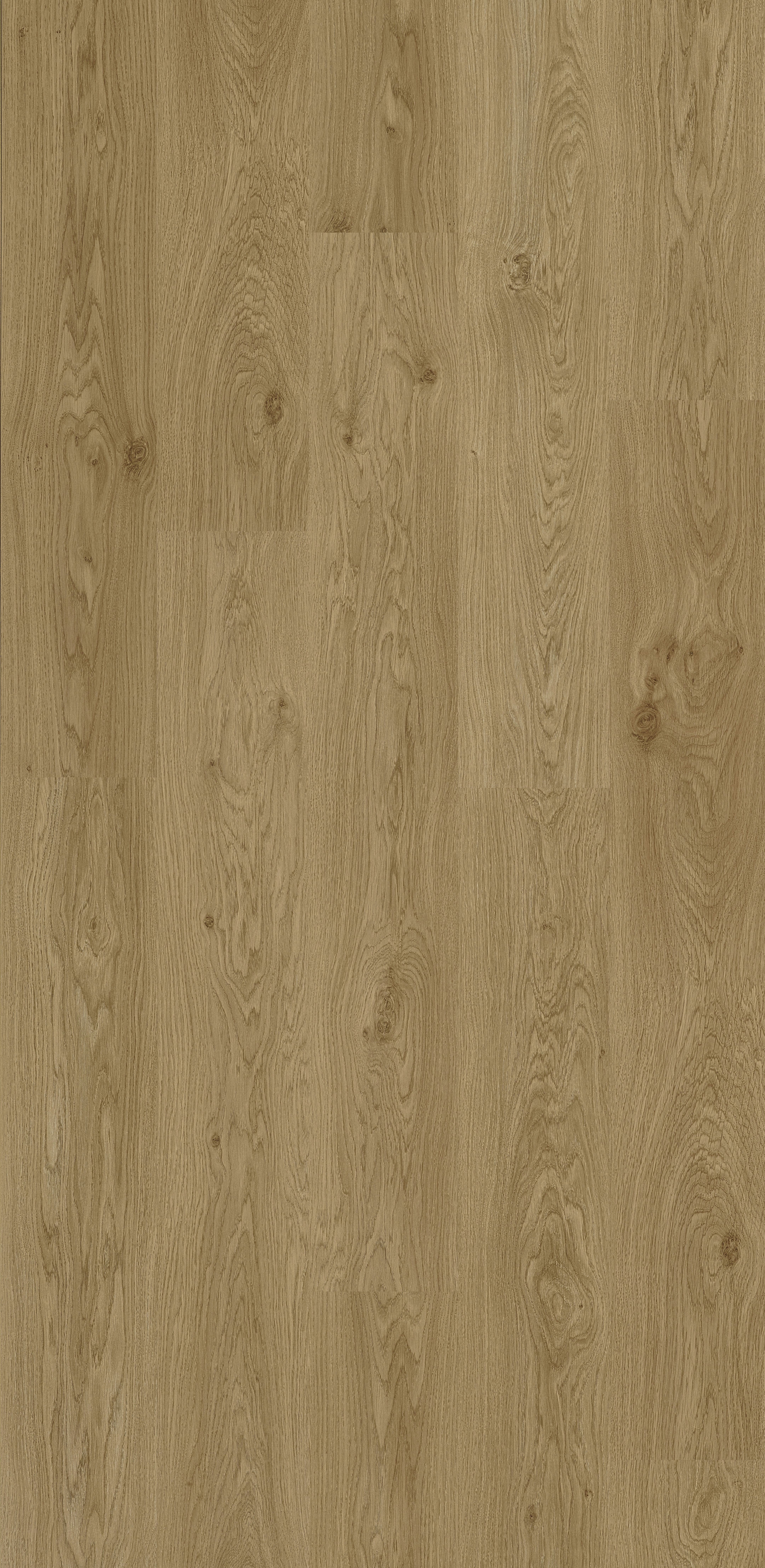 Trendline 8 Daisy Oak 9 lames Stratifié 1288x190x8mm - 2,202M2/PAQ
