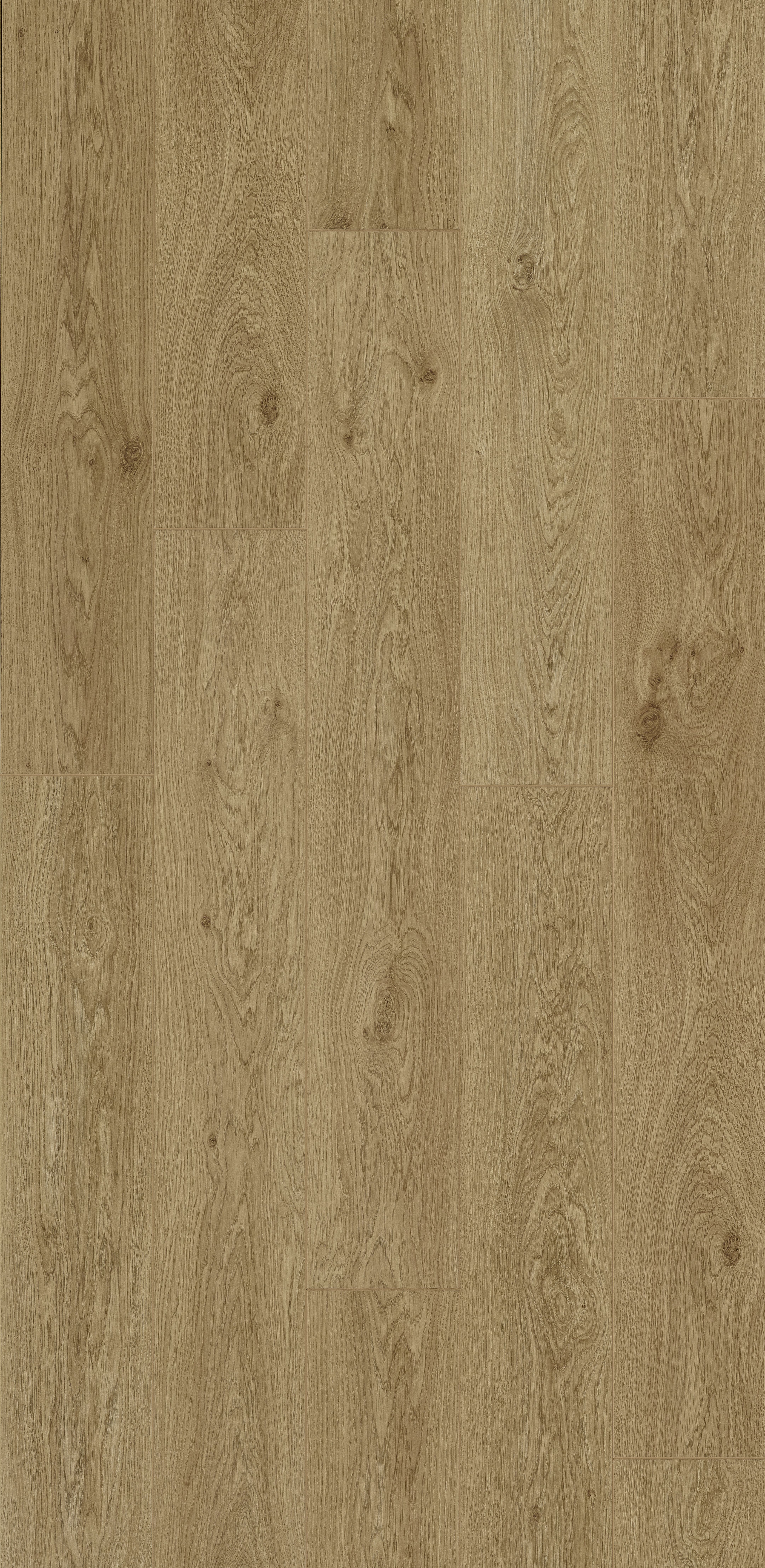 Smartline 8 Hydro+ Daisy Oak 9 lames Stratifié 1288x190x8mm - 2,202M2/PAQ