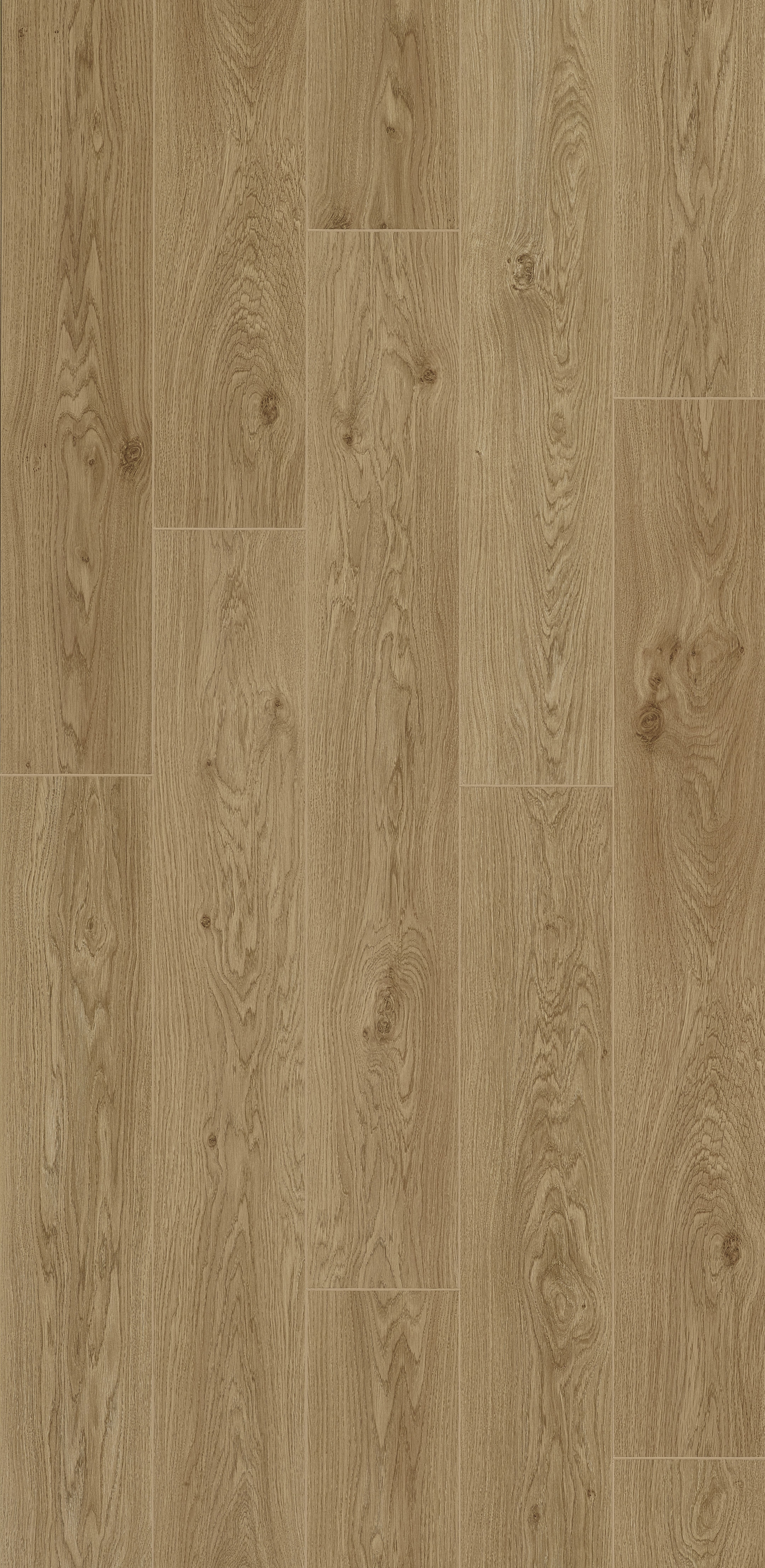 Smartline 8 Hydro+ Lotus Oak 9 lames Stratifié 1288x190x8mm - 2,202M2/PAQ
