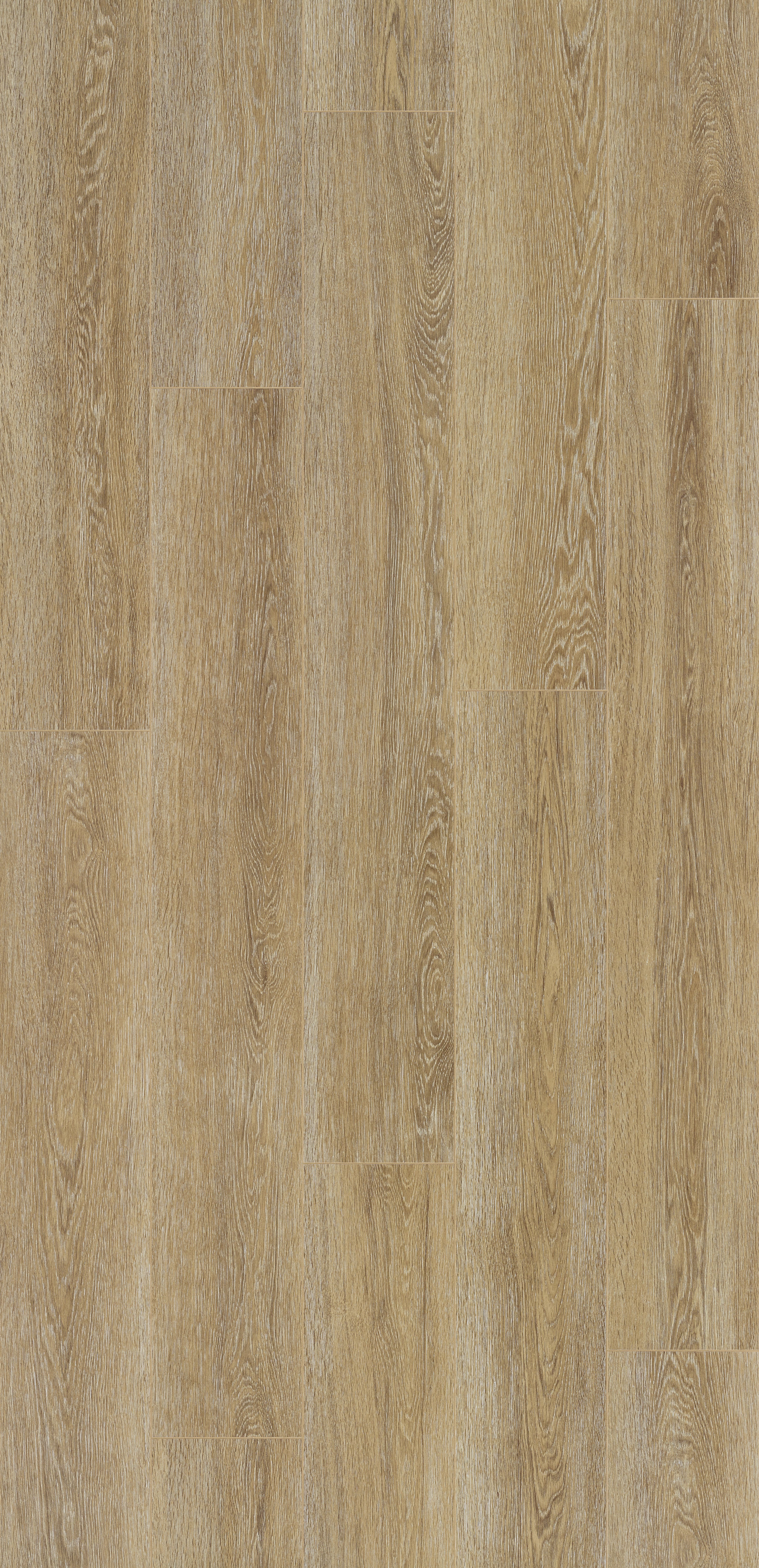 Trendline 8 V4 Puccini Oak 9 lames Stratifié 1288x190x8mm - 2,202M2/PAQ