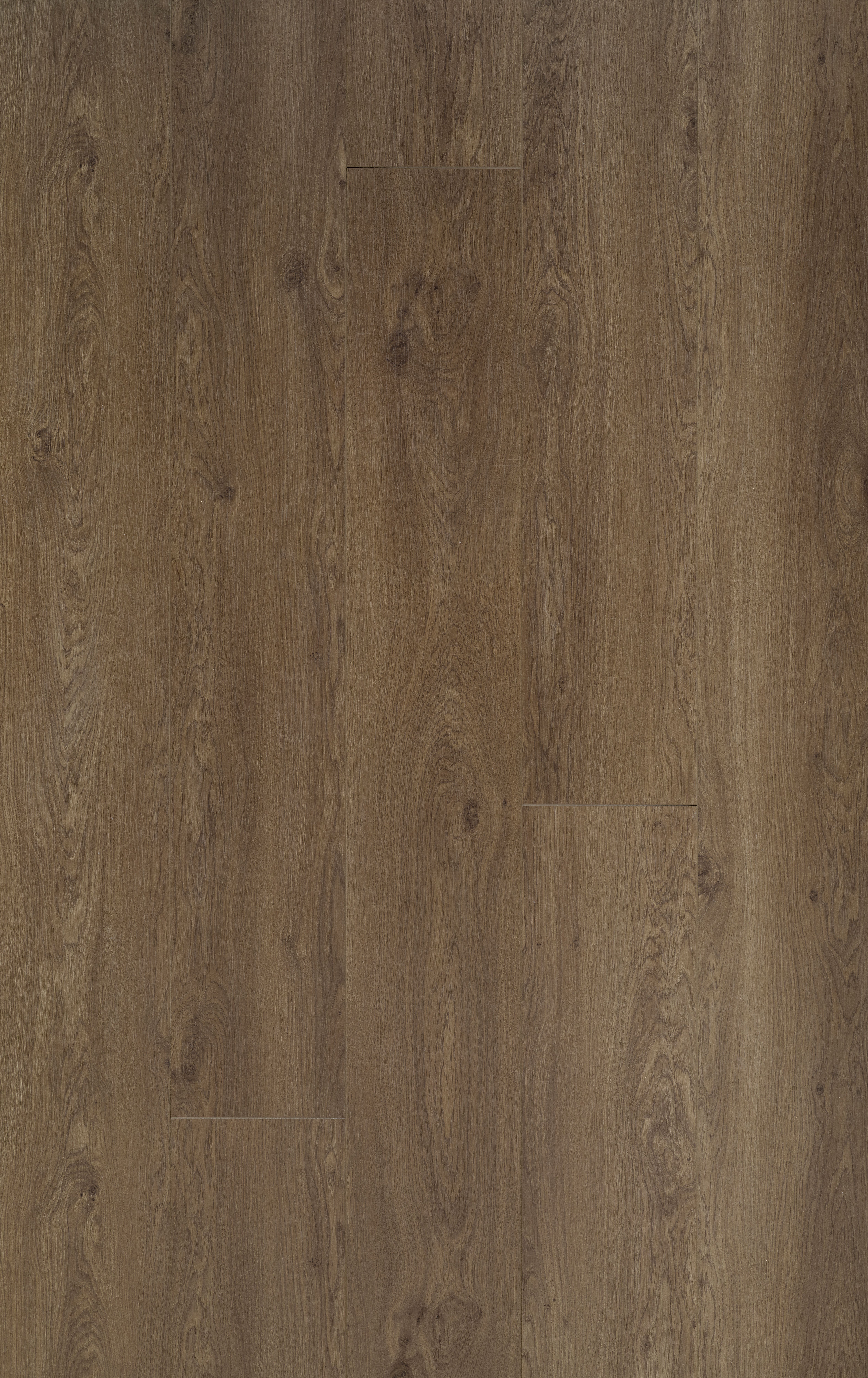 Trendline 8 XL Iris Oak 6 lames Stratifié 2038x241x8mm - 2,947M2/PAQ