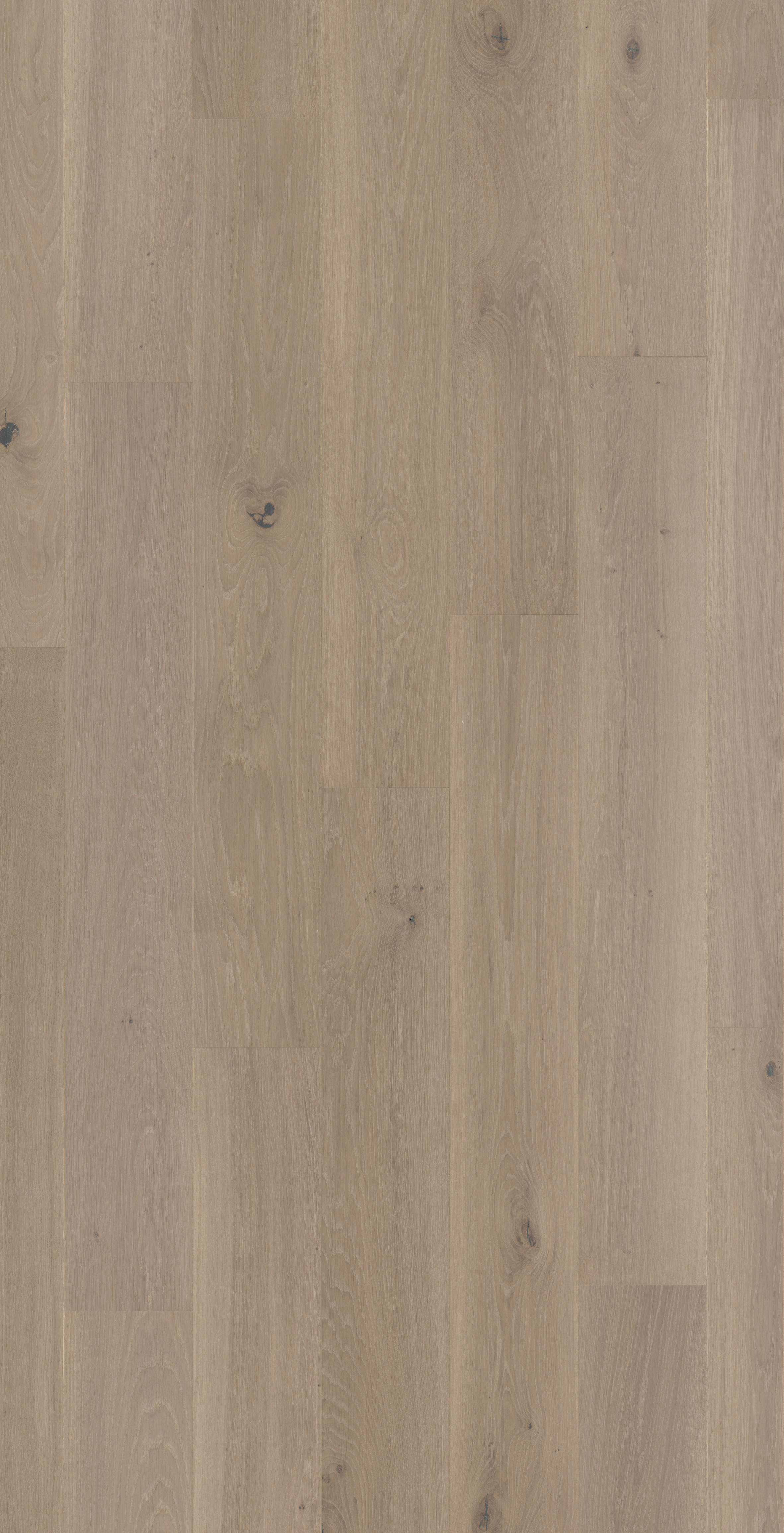 Barre arrêt Kaolin 1,95M Pour parquet - 1950x28x12,5mm