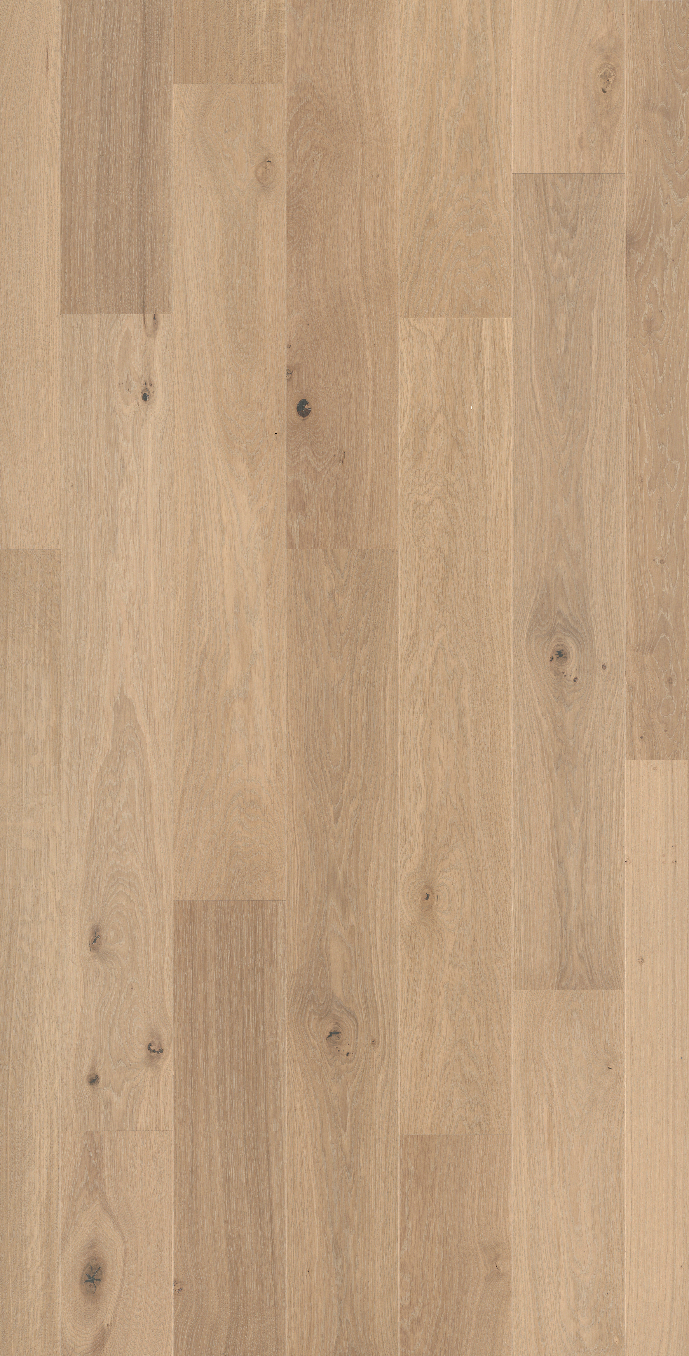 Barre arrêt Silk 1,95M Pour parquet - 1950x28x12,5mm