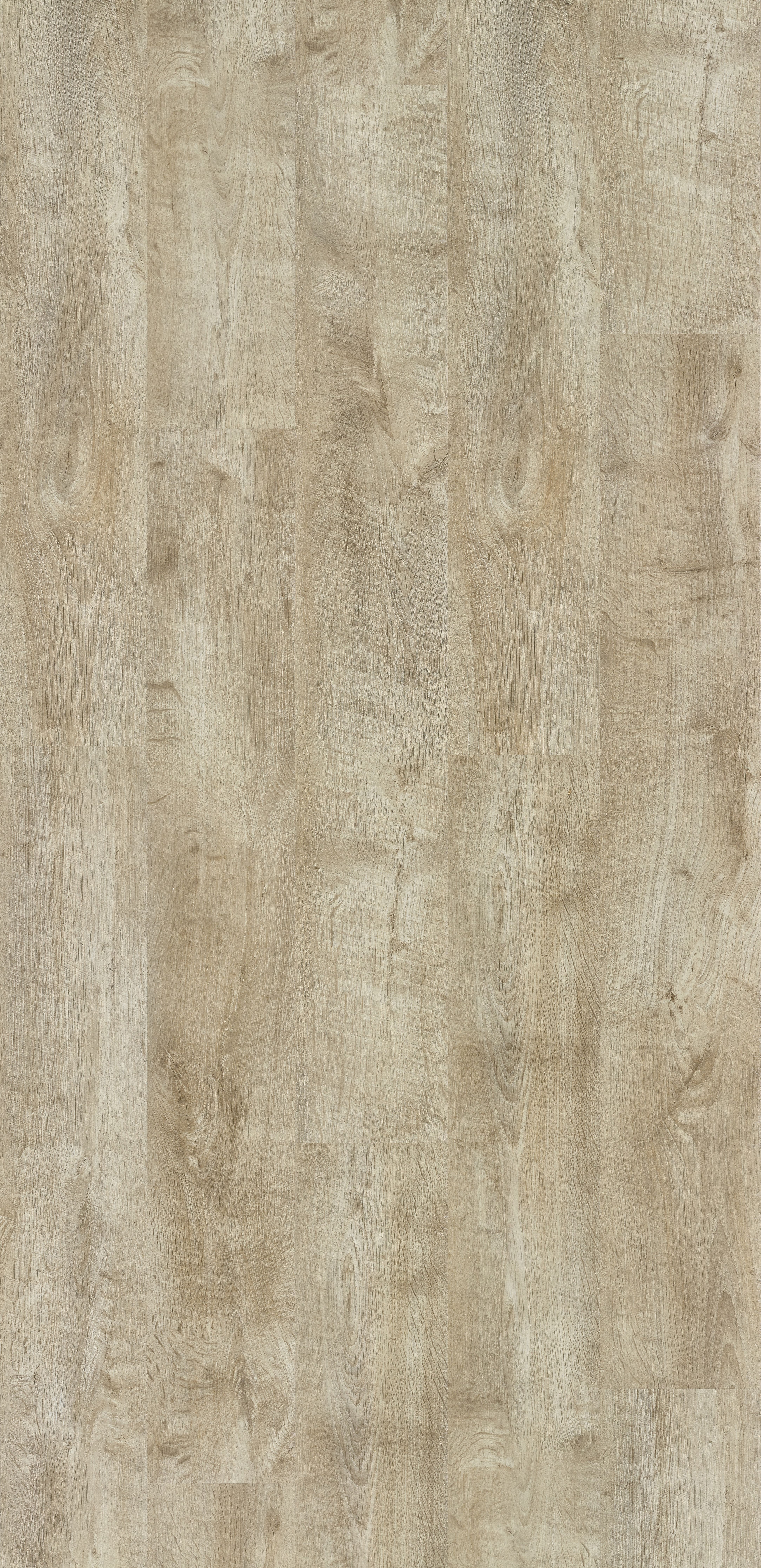 Trendline 8 Liverpool Oak 9 lames Stratifié 1288x190x8mm - 2,202M2/PAQ