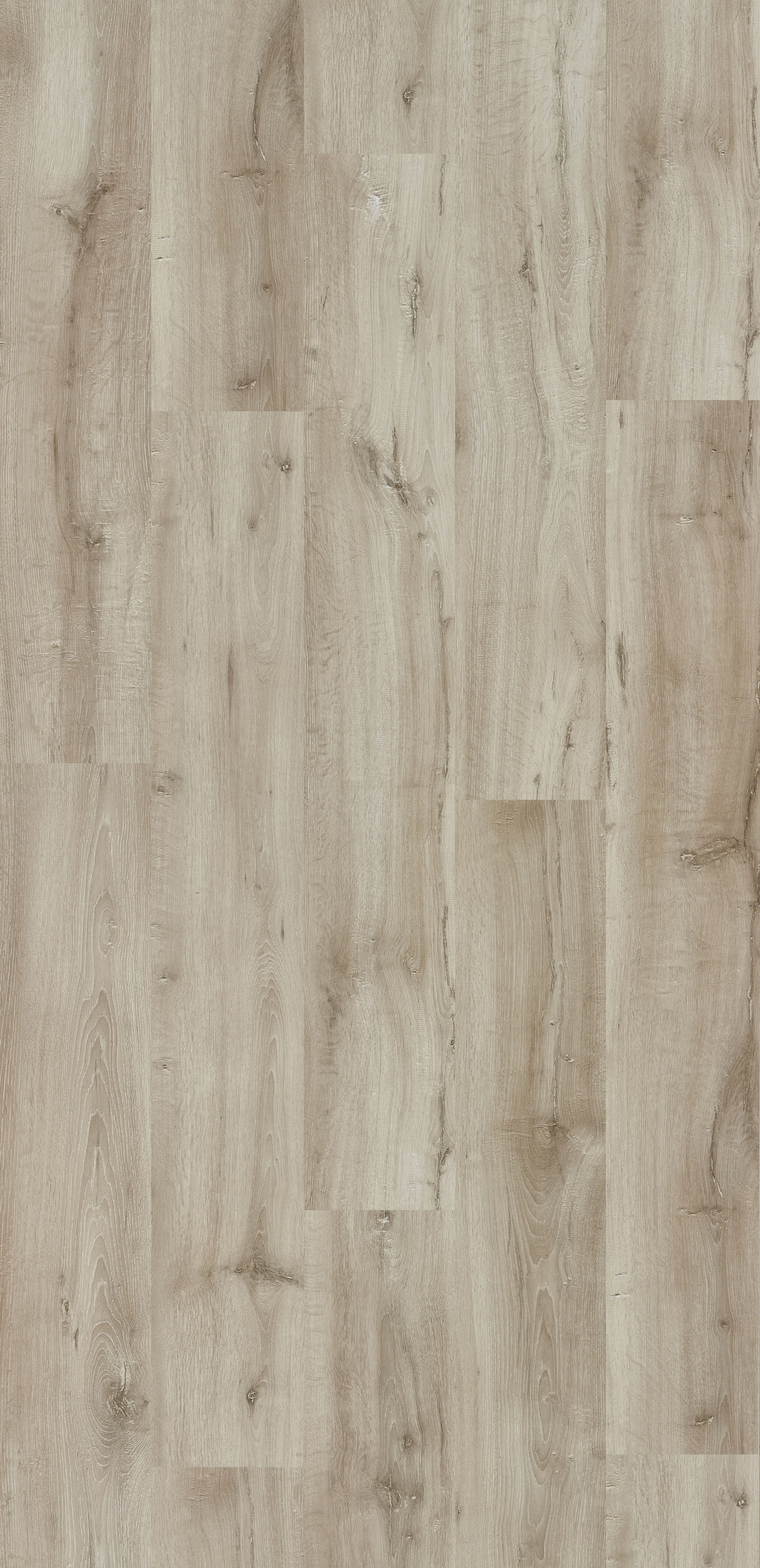 Trendline 8 Sicily Oak 9 lames Stratifié 1288x190x8mm - 2,202M2/PAQ