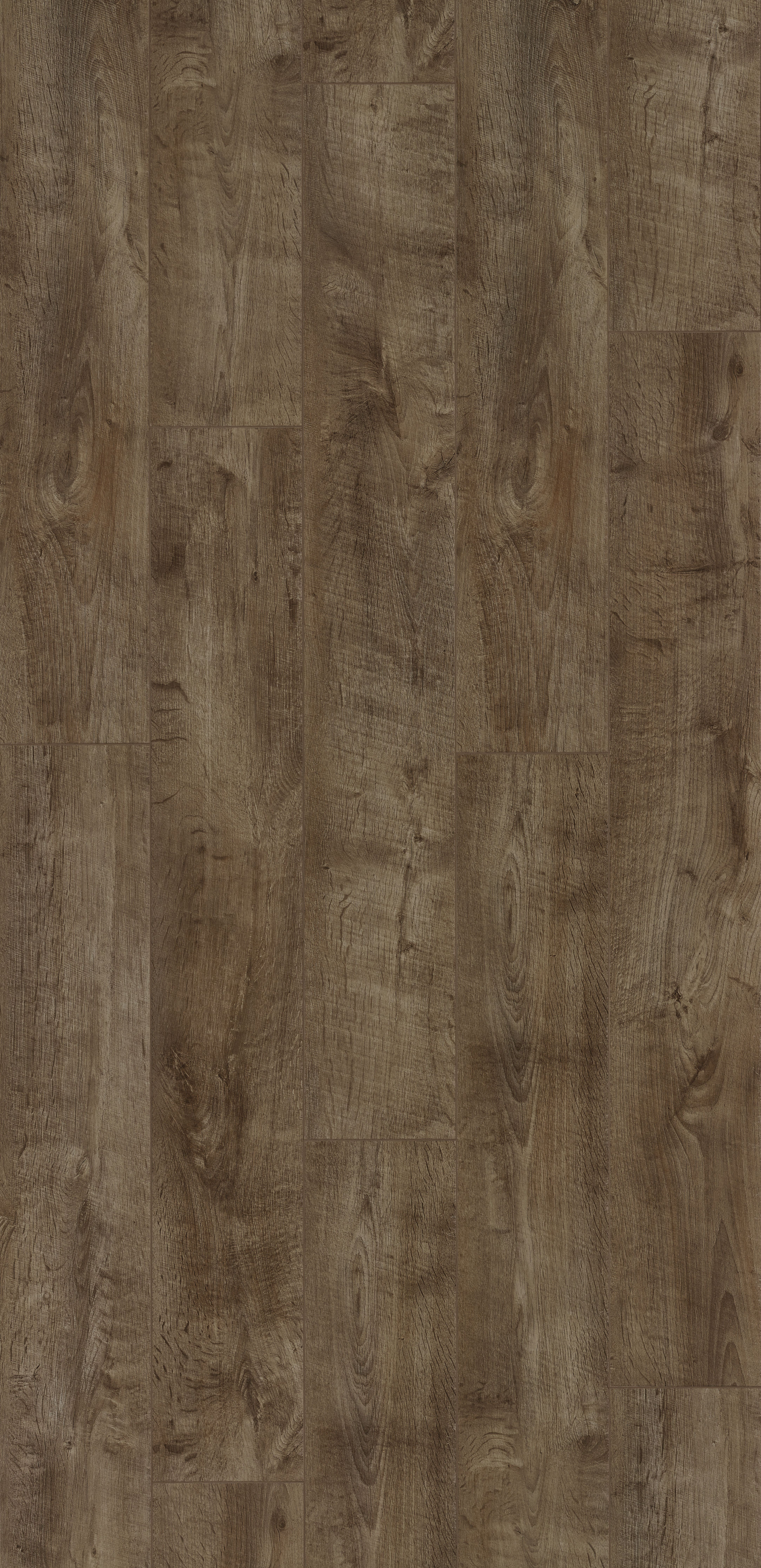 Trendline 8 V4 Bristol Oak 9 lames Stratifié 1288x190x8mm - 2,202M2/PAQ