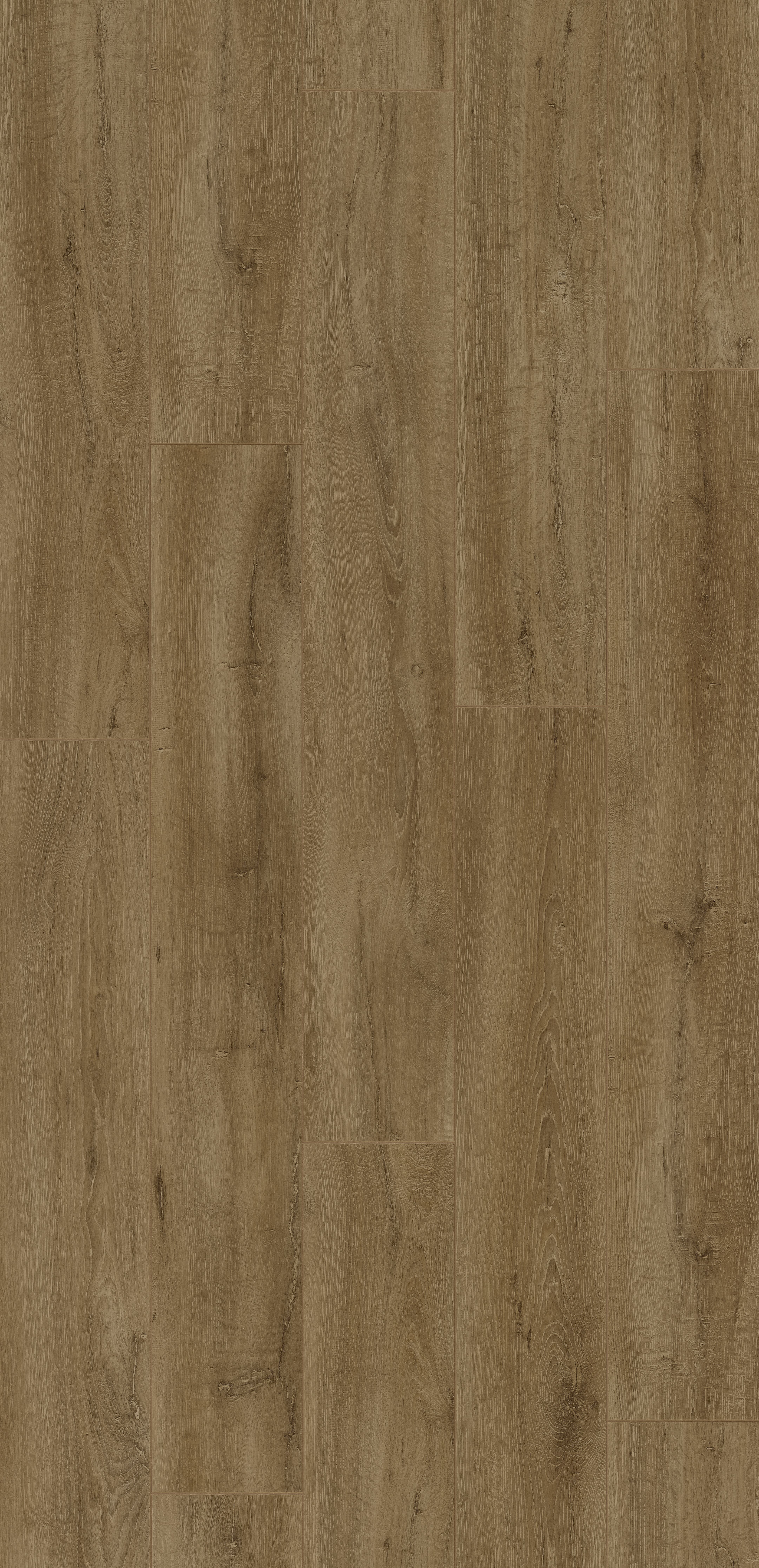 Trendline 8 V4 Capri Oak 9 lames Stratifié 1288x190x8mm - 2,202M2/PAQ