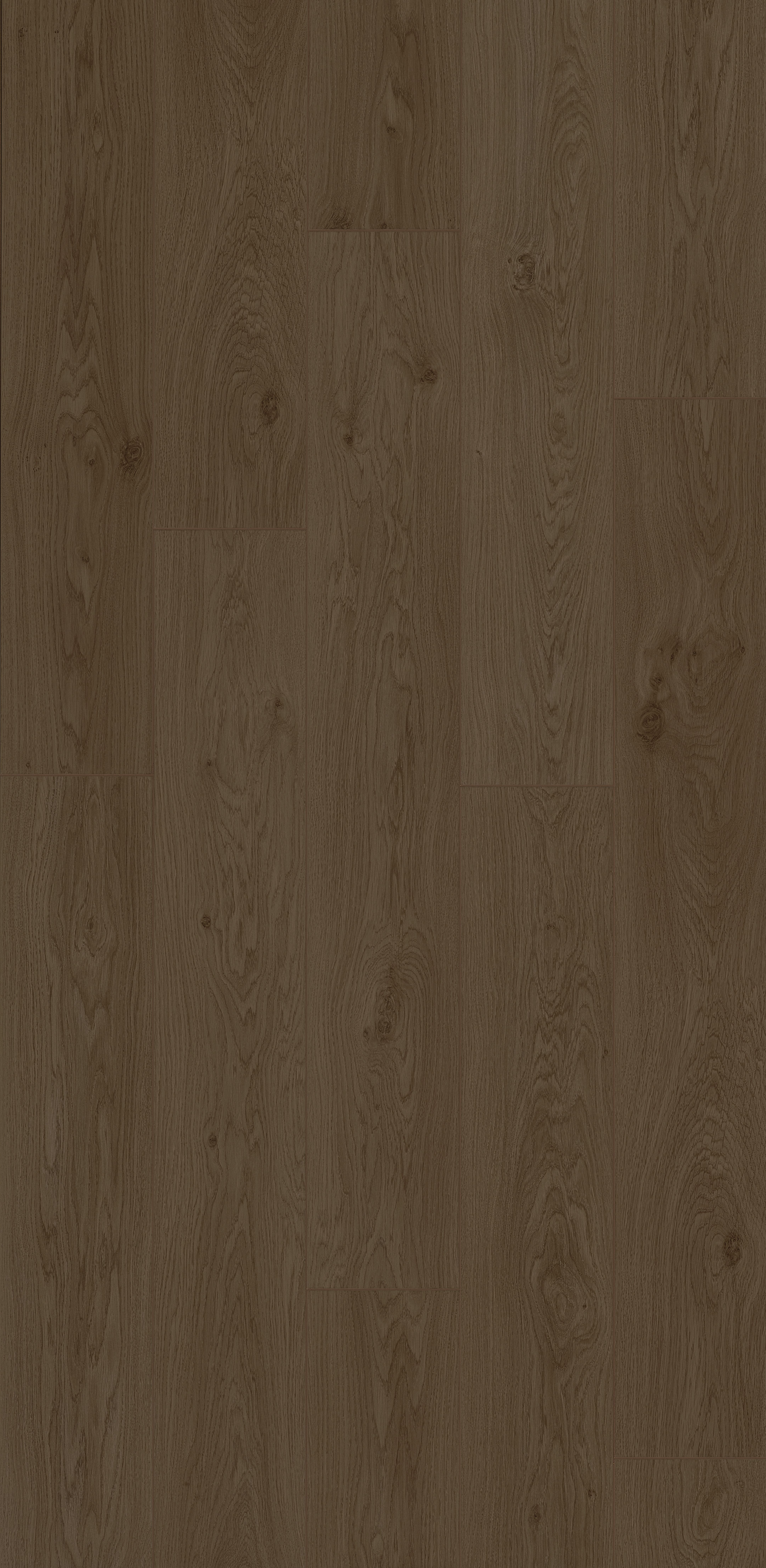 Trendline 8 V4 Iris Oak 9 lames Stratifié 1288x190x8mm - 2,202M2/PAQ