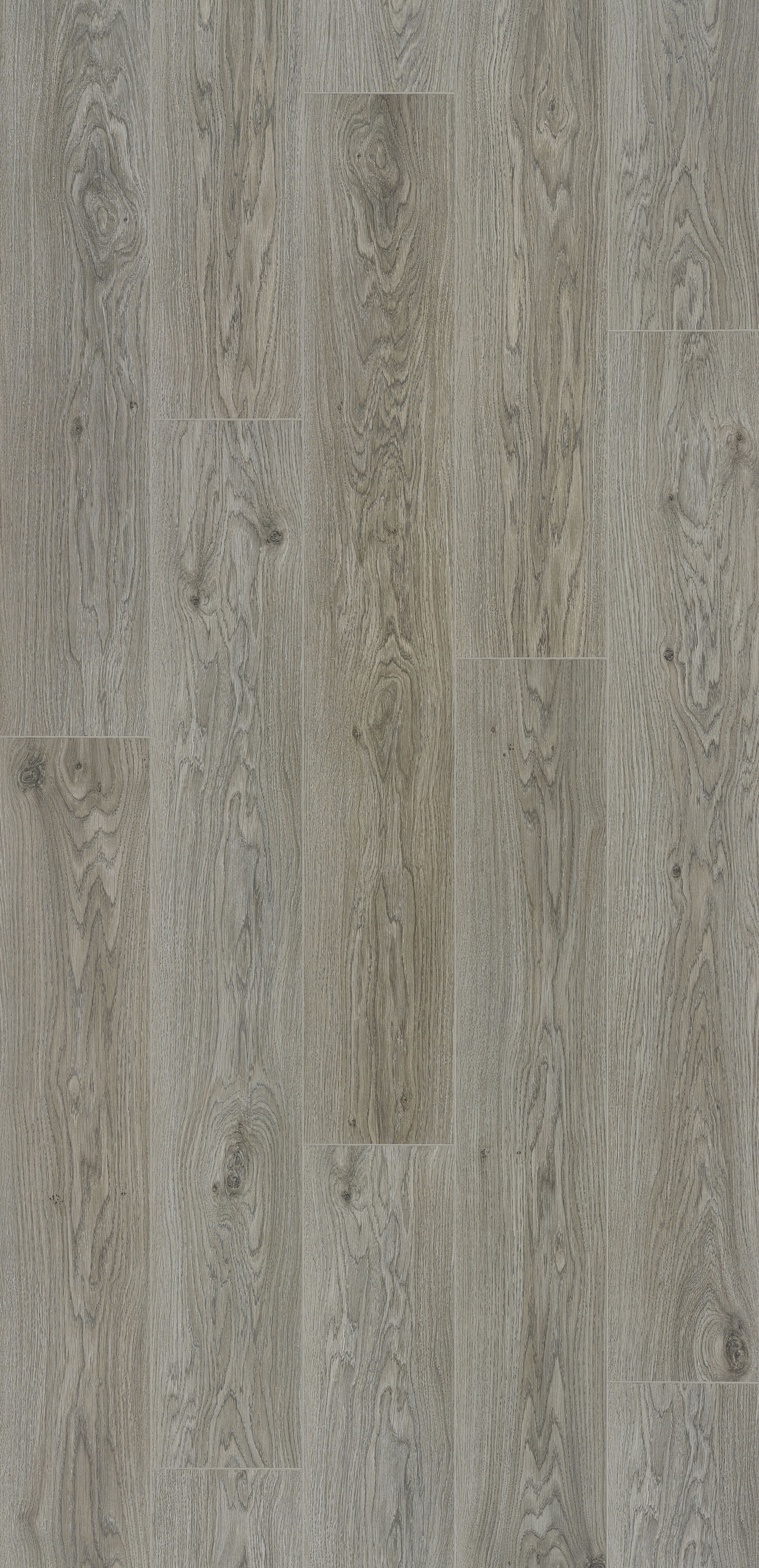 Trendline 8 V4 Magnolia Oak 9 lames Stratifié 1288x190x8mm - 2,202M2/PAQ