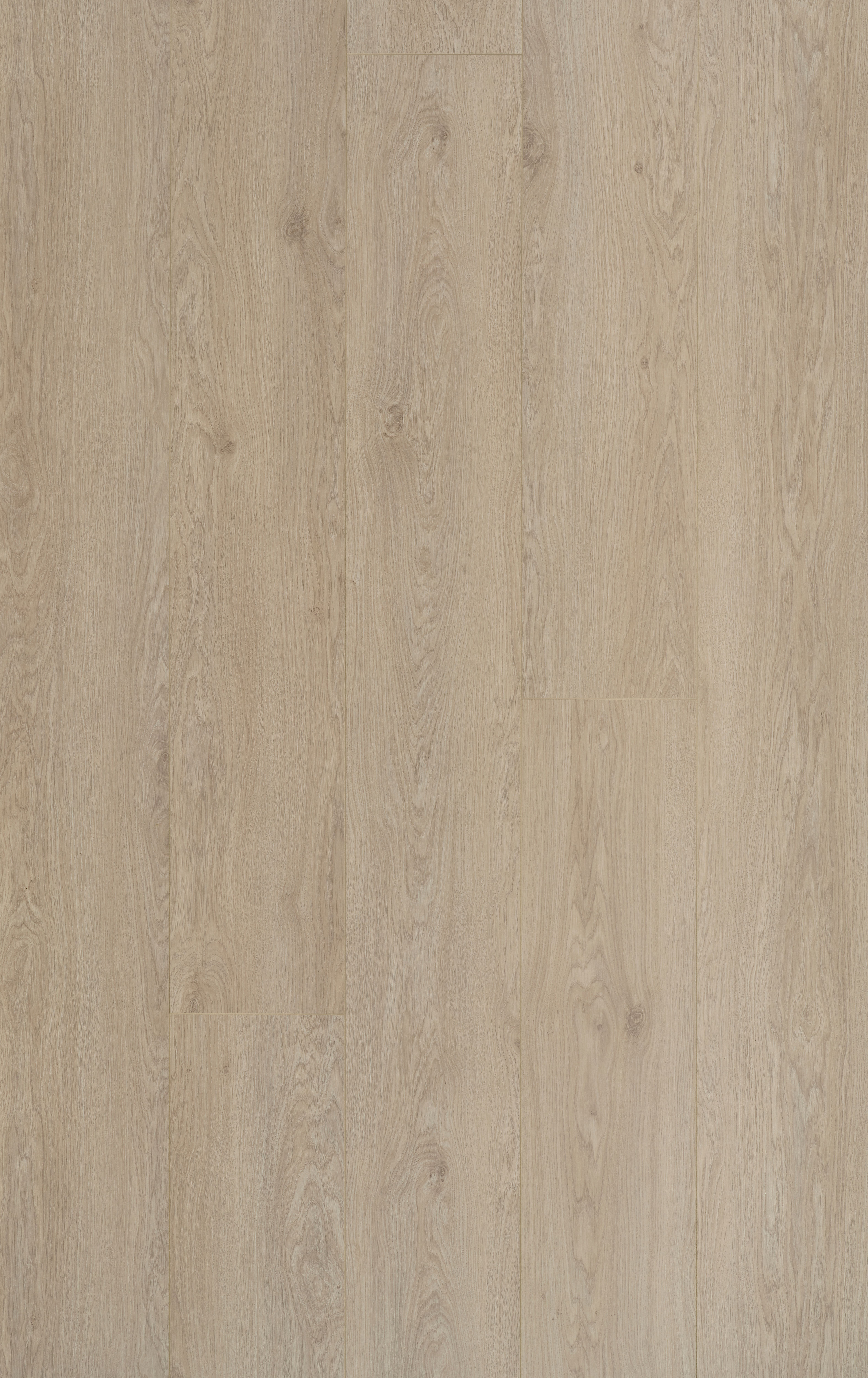 Trendline 8 XL Lily Oak 6 lames Stratifié 2038x241x8mm - 2,947M2/PAQ