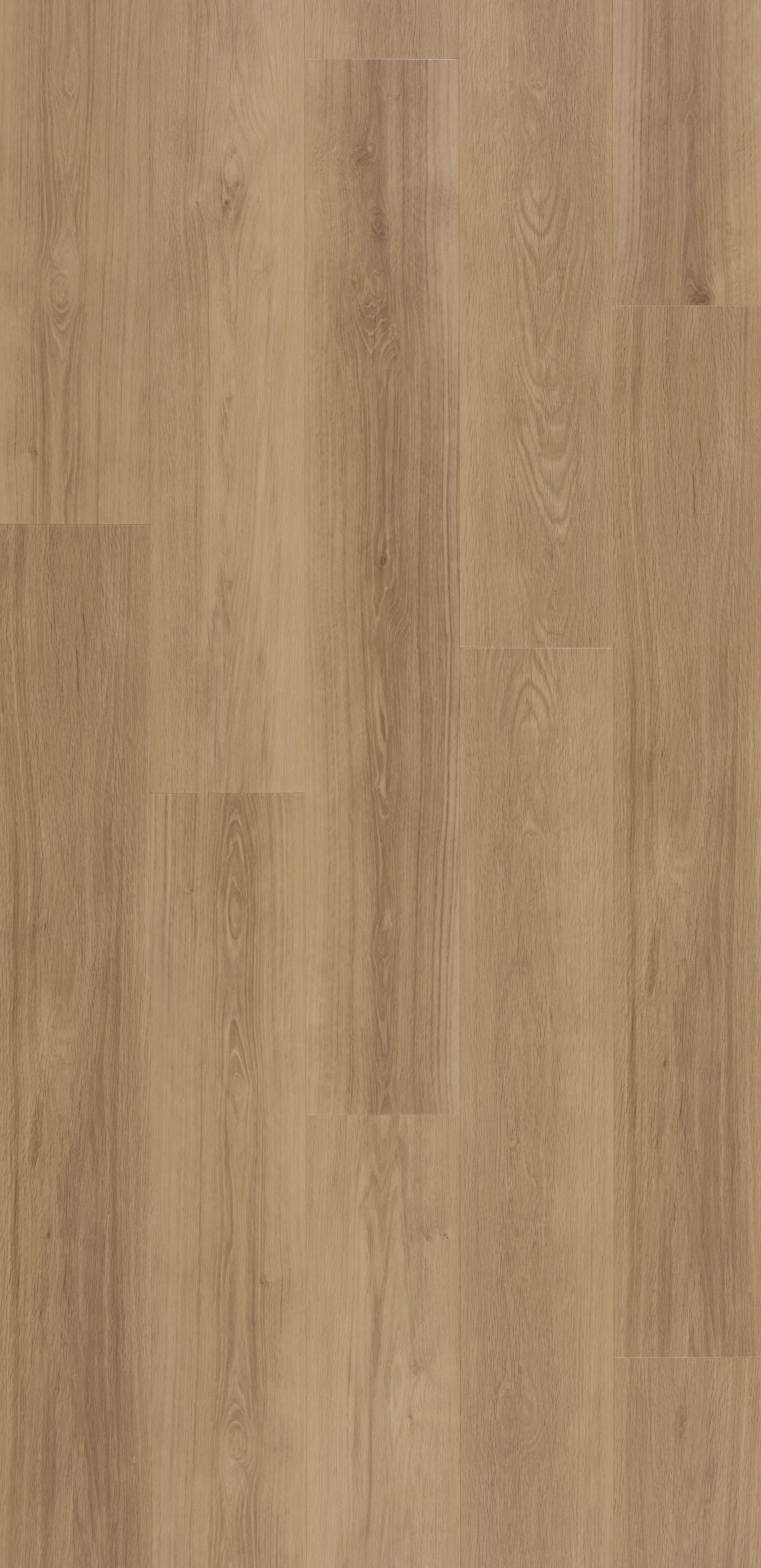 Zenn GD 30  24 lames Vinyle - 5,203M2/PAQ