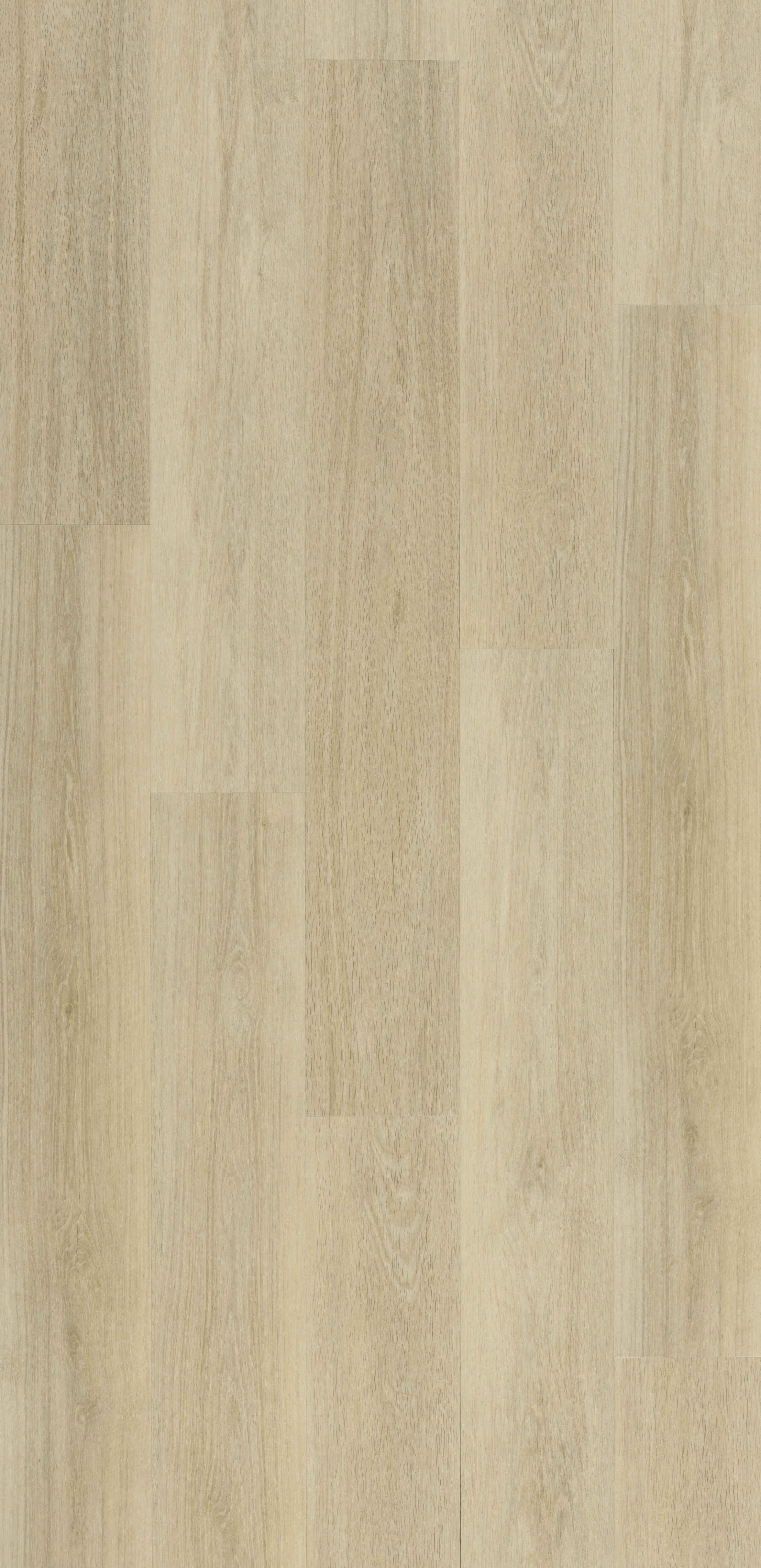 Zenn GD 30  24 lames Vinyle - 5,203M2/PAQ